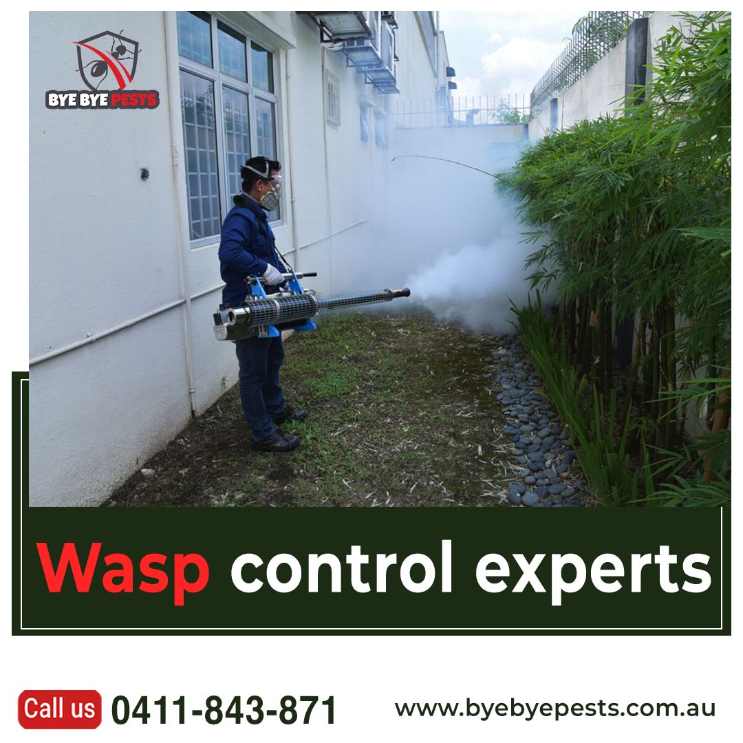 BBPestscontrol's tweet photo. Wasps are a menace to #remove and often attack the person that tries to remove them. However, at Bye Bye #Pests we are experts in #pest #control and will remove all the #wasps and their nests from your #property without #incurring any #damages.
 Contact Us: 0411 843 871 https://t.co/7msXUcDbaZ