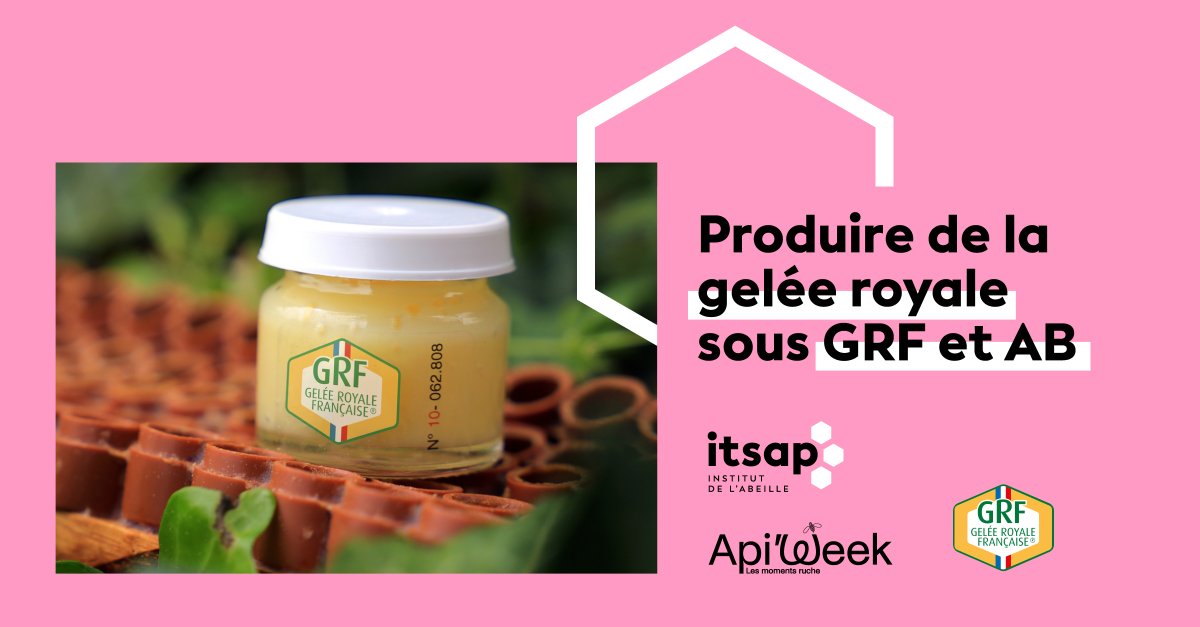 ITSAPinstitut's tweet image. Aujourd&apos;hui, avec l’#Apiweek par #interapi, découverte de la #geléeroyale et le fonctionnement d’exploitations spécialisées avec le GPGR. Le cas-type de ces exploitations de gelée royale sous GRF (« gelée royale française ») et Agriculture Biologique (AB) :blog-itsap.fr/cas-type-explo…
