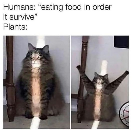 myunclesmemes's tweet image. You are my sunshine, my only sunshine, you make me happy when skies are gray