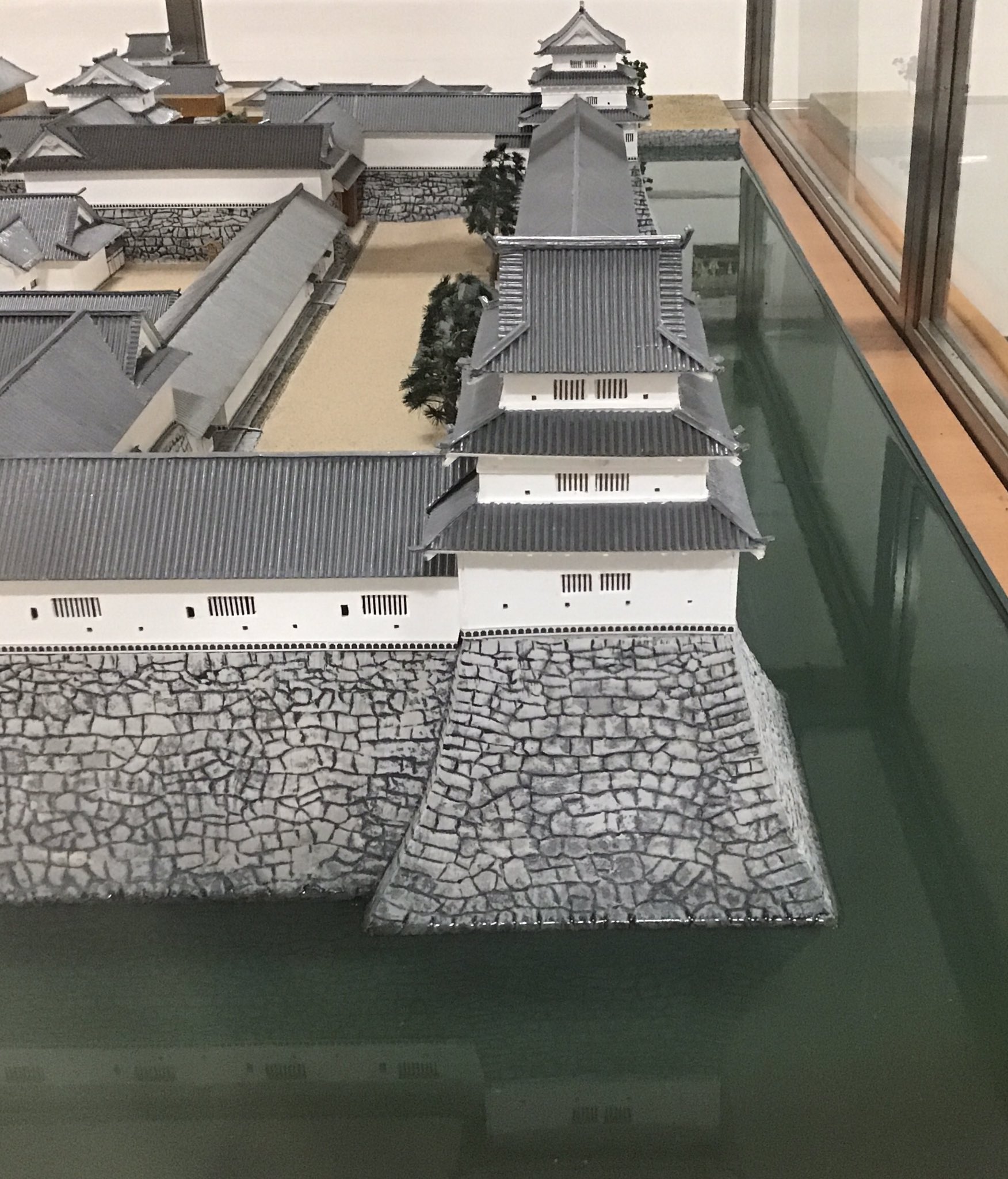 ya___japan | * * 公渕森林公園 [きんぶちしんりんこうえん