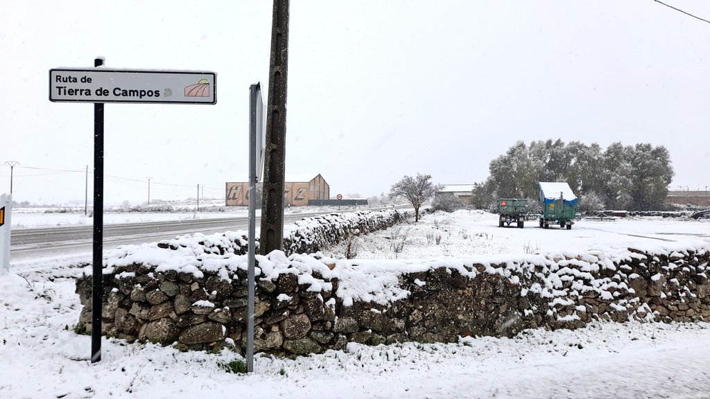 NievesVE3's tweet photo. Nieva en Castilla 💗 https://t.co/Wts5URFpMr
