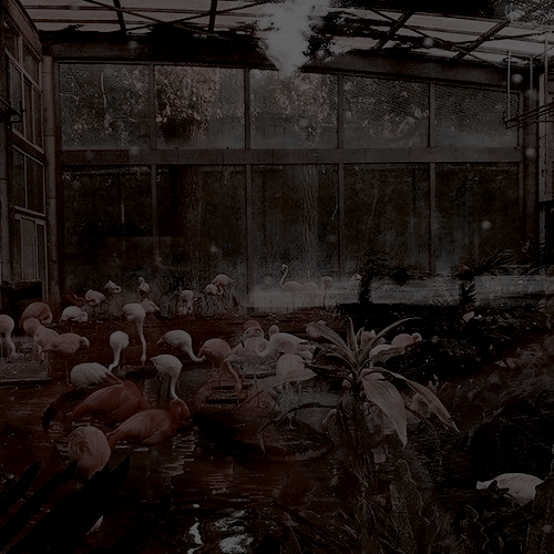 ❰Puede que sea la mezcla perfecta de mis padres, pero soy demasiado modesta para reconocerlo. El ego se lo dejo a Jamie.❱

        ＬＩＬＹ ＬＵＮＡ Ｐ•Ｗ
* • • ◕◕════♣♣════◕◕ • •*