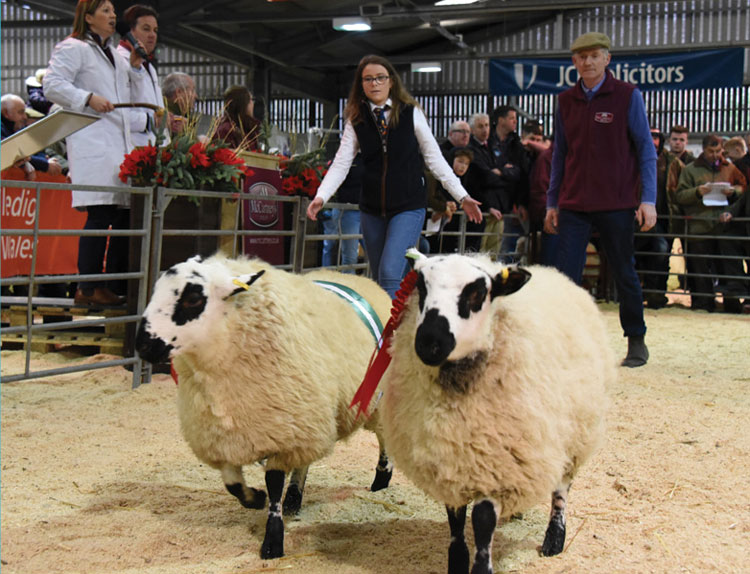 WelshCountry's tweet photo. Lantra Launches New Rural Event Training Course
https://t.co/zhNyGWLAk1
#ruralevents #ruraleventtraining #lantra #rwas #royalwelshagriculturalsociety #training #countryshows https://t.co/DGavBCkg3f