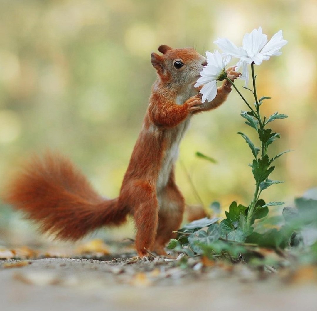 #THESQUIRREL
<a href="/Tina1Queen/">💋 Tina 💋</a>
<a href="/nealhailey/">🌹nealhailey🌹</a>
<a href="/Mechis_M/">🥀𑜞᭄ ❤️‍🔥ℳariղ❤️‍🔥🥀𑜞᭄</a>
<a href="/bella_xp/">ღBellaღ</a>
<a href="/NergisN/">♡🌹♤ηιƇҚy ηεrgιȘ♤🌹♡</a>
<a href="/IfbSdv/">#FriendsFollowers</a>
<a href="/Diane1Queen/">🌹Diane🌹</a>
<a href="/HARRYS1DEMPIRE/">TAHNEE 👑🇲🇽🇺🇸</a>

<a href="/ganseyman/">😎m.c squirrel #🐿️🐿️🐿️</a> <a href="/ganseykid/">🏝️🏝️ LAZY DAYS 🏝️🏝️</a>

<a href="/ginestarros/">SuperGina♥️💚♥️</a>
<a href="/ginaaaa345/">SuperGina ┈•♥️💚♥️•┈</a>
<a href="/luisalarosa/">Luisa🌹</a>
<a href="/Luisa1Queen/">.•° ✿ °•. LuisaElena ꧂🌹</a>
<a href="/AmeliaVicencio/">♒🌷❤️𝐀𝐦𝐞𝐥𝐢𝐚𝐕𝐢𝐜𝐞𝐧𝐜𝐢𝐨❤️🌷♒️</a>
<a href="/italianostyle2/">Frankie D....TEAMSTALLION</a>
<a href="/ZagoZago3/">Josefina2</a>
<a href="/MarEthr/">👉 Mark 28K 😜👇</a>
<a href="/TahneeQueen/">👑QUEEN OF QUEENS👑 🇲🇽🇺🇸👑</a>
<a href="/lumpie125/">lumpie125</a>
<a href="/jasmine50012486/">🌼࿐♡ᒍᗩSⓂ️İᘉᕮ🌼｡･ﾟ♡ﾟ</a>

<a href="/Siogo61/">@siogo61</a>