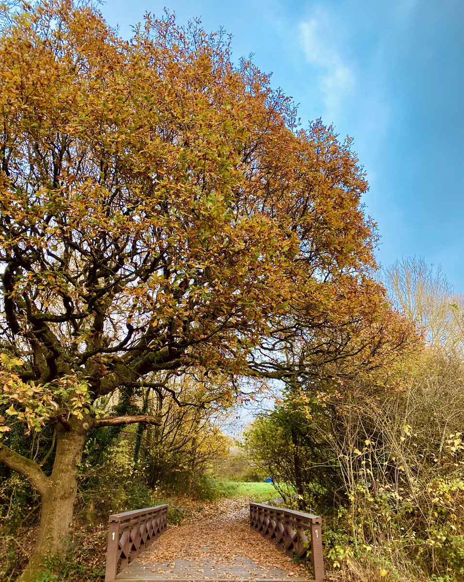 VBC Photography tweet media