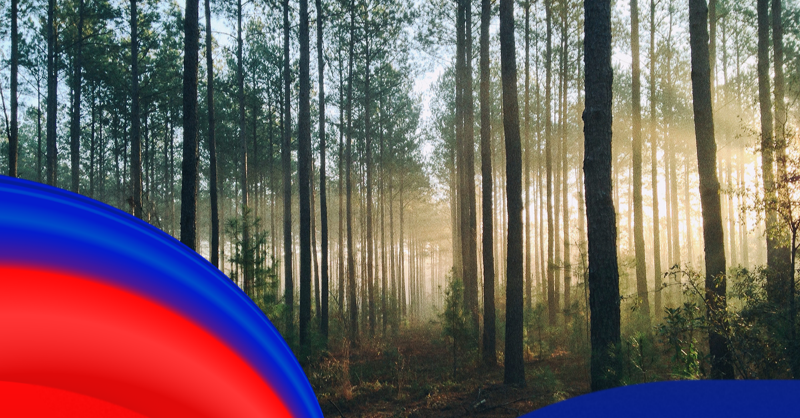 VMO2News's tweet photo. We’re supercharging the climate conversation with @globalactplan – helping the next generation break down the barriers to action and encouraging those who aren’t yet involved, to engage in the climate conversation.
Check out our site for more info ⤵️