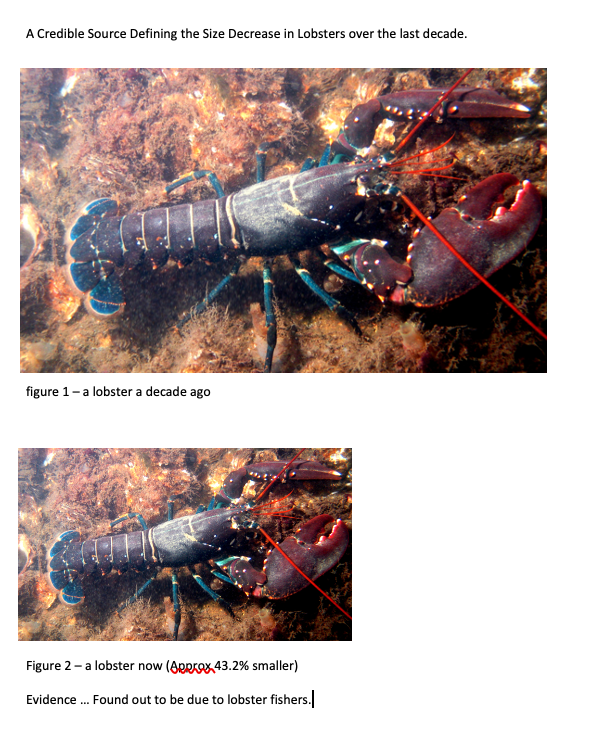 JamieJpotter's tweet photo. @FETRC @IslandsMpa Hey general public, heres a simple scientific paper that you may be able to understand. I hope this clarifies things, although lobster fishin is finished its still impacting subsequent generations :) https://t.co/MSz8K7DqEa