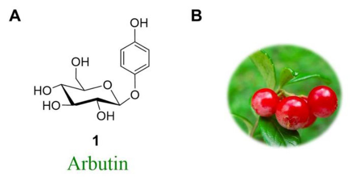 Molecules_MDPI's tweet photo. #HighlyCitedPaper #HighlyAccessedPaper
Chemical and Biocatalytic Routes to Arbutin
By Aitao Li, Manfred T. Reetz, et al.
👉https://t.co/1iim1lVklG
#arbutin
#shikimatepathway
#cosmetics
#directedevolution https://t.co/6KGQk0nSUp
