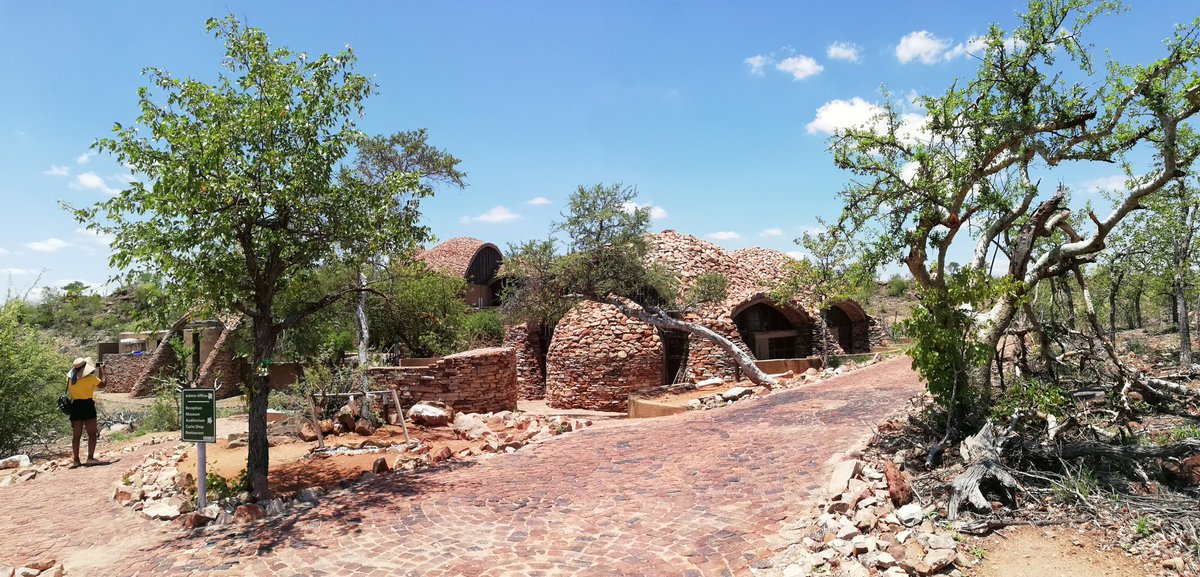 #SANationalParksWeek is on until Friday, the public will be given free access to all national parks in the country, here is what one can experience <a href="/Mapungubwe_NP/">Mapungubwe National Park</a>

sanparks.org/parks/mapungub…

#LimpopoSummer2021
#MoreToEnjoy
