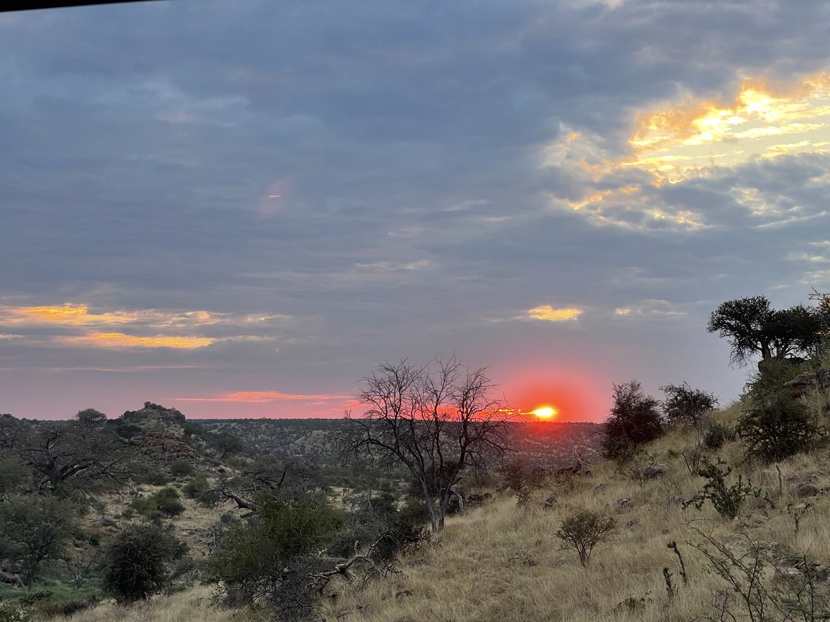 golimpopo's tweet photo. #SANationalParksWeek is on until Friday, the public will be given free access to all national parks in the country, here is what one can experience @Mapungubwe_NP

https://t.co/CwvDdwW70h

#LimpopoSummer2021
#MoreToEnjoy https://t.co/IT0VFkw0LX