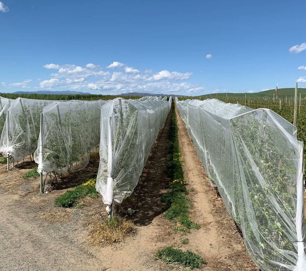 DrapeNet's tweet image. Before we enjoy the long weekend we just wanted to say that we are thankful for all of our new relationships this year!  After we eat some turkey we&apos;re back at it.  Taking orders and loading containers for what&apos;s shaping up to be an awesome 2022.