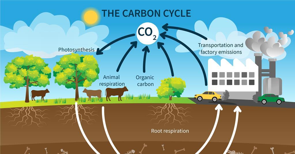 Reap x Farming Carbon tweet media