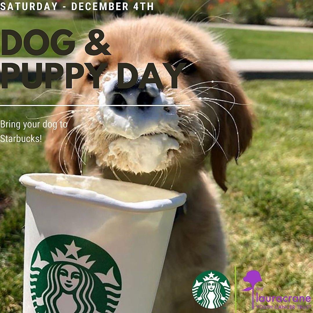 projectyouthcan's tweet photo. Join us for a little pre-Christmas pooch party at Starbucks Huddersfield on Sat 4 December. Bring your furry best friend to the DOG &amp; PUPPY DAY to browse our collection of dog accessories including dog jackets and cushions. FREE PUPPACCINO for every VIP (very important pooch)!! https://t.co/NhCzrqwIj8