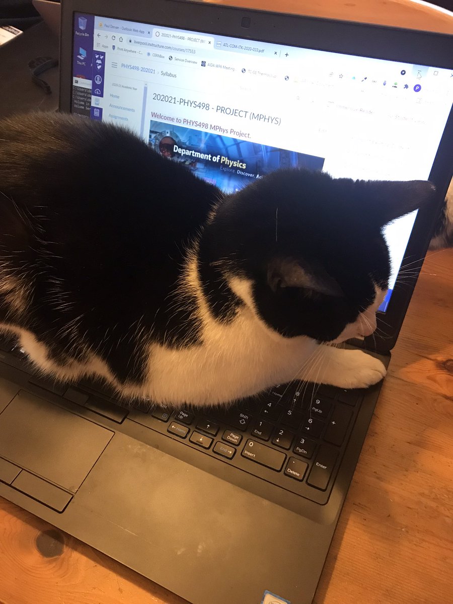 threemousekete1's tweet image. Keeping the laptop warm… tough job but someone’s got to do it. #jess