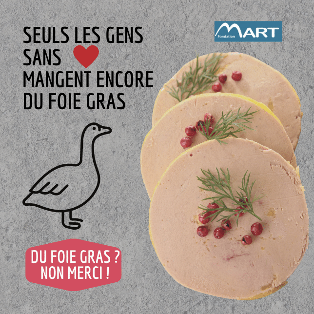 NonHumain's tweet photo. #FoieGras #Noel #CIFOG #malbouffe https://t.co/b7PyCC1FvP