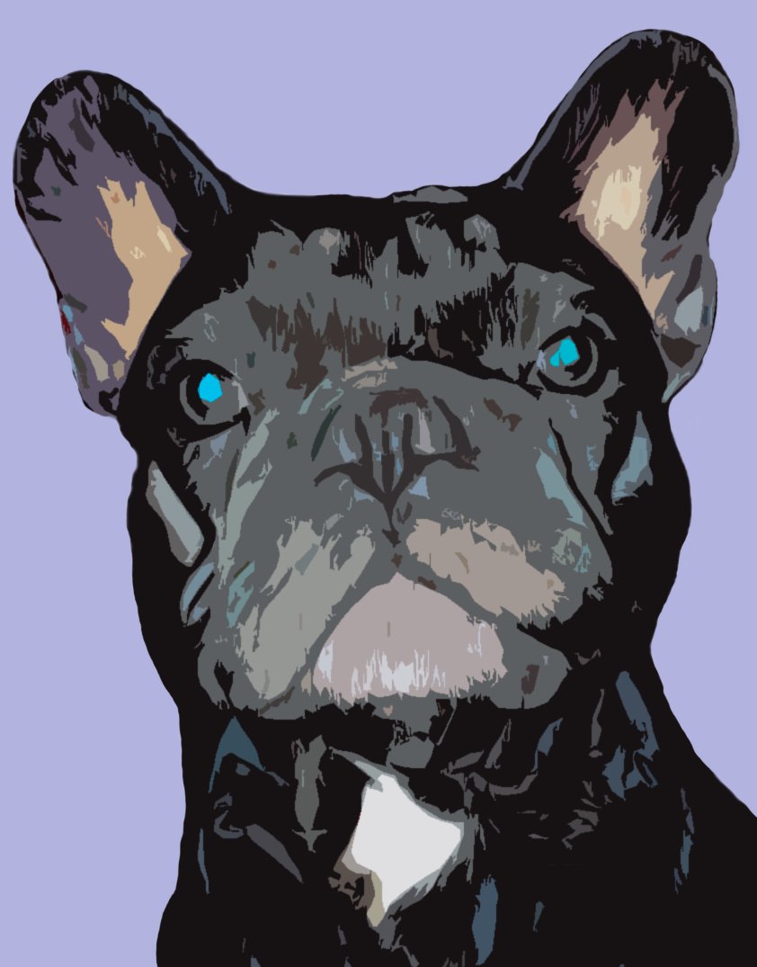 Check out this item on OpenSea opensea.io/assets/matic/0… через <a href="/opensea/">OpenSea</a> 

#NFTCommunity #NFTs #OpenSeaNFT #NFTartist #nftcollector  #nft #frenchbulldog #NFTarts #opensea #openseaartists