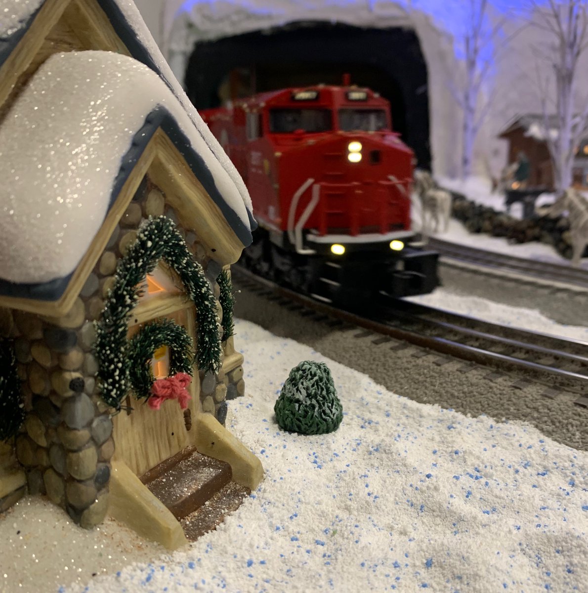 White Marsh VFC tweet media