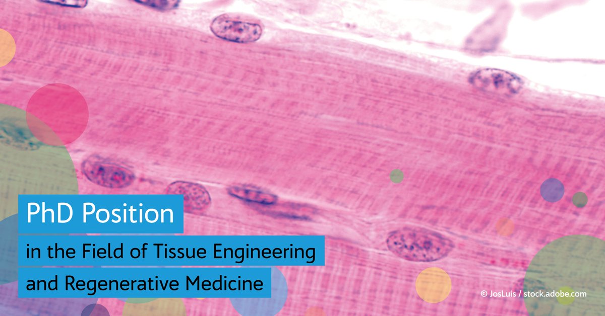 The <a href="/SFB_TRR225/">TRR225Biofab</a> <a href="/unibt/">Universität Bayreuth</a> is offering a #PhD position on #Engineering and #Bioprinting of #SkeletalMuscleTissue. Apply #ASAP👉uni-bayreuth.de/phd-position-m… #PleaseRT @SalehiSahar5 <a href="/juergengroll/">Jürgen Groll</a> <a href="/Boccaccini_Lab/">Biomaterials_Erlangen</a> <a href="/BenFabryErl/">Ben Fabry</a> @BayreuthCentre <a href="/GatewayOfficeBx/">Gateway Office UBT in Bordeaux</a> <a href="/gateway_office/">Gateway Office</a>