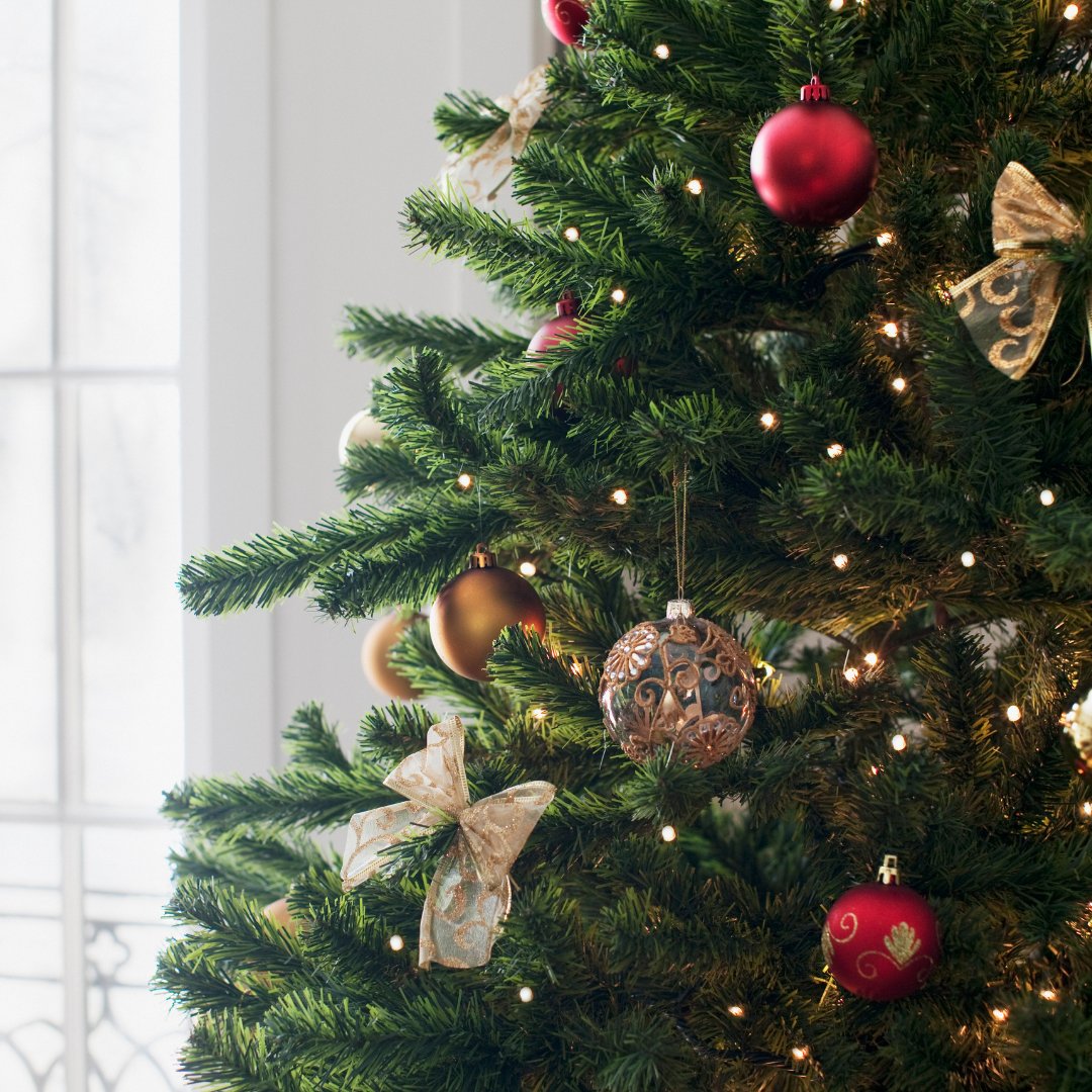 TonicEnhancer's tweet photo. 🎄With only 1 MONTH to go until Christmas, we have an important question to ask...
Do you have your Christmas tree up yet? Have you decked the halls and gone to tinsel town?
#christmas #christmastree #gin #tonicenhancer #ginandtonic #ginlover #ginstagram #ginoclock #lovegin https://t.co/LhpHzhvgyN