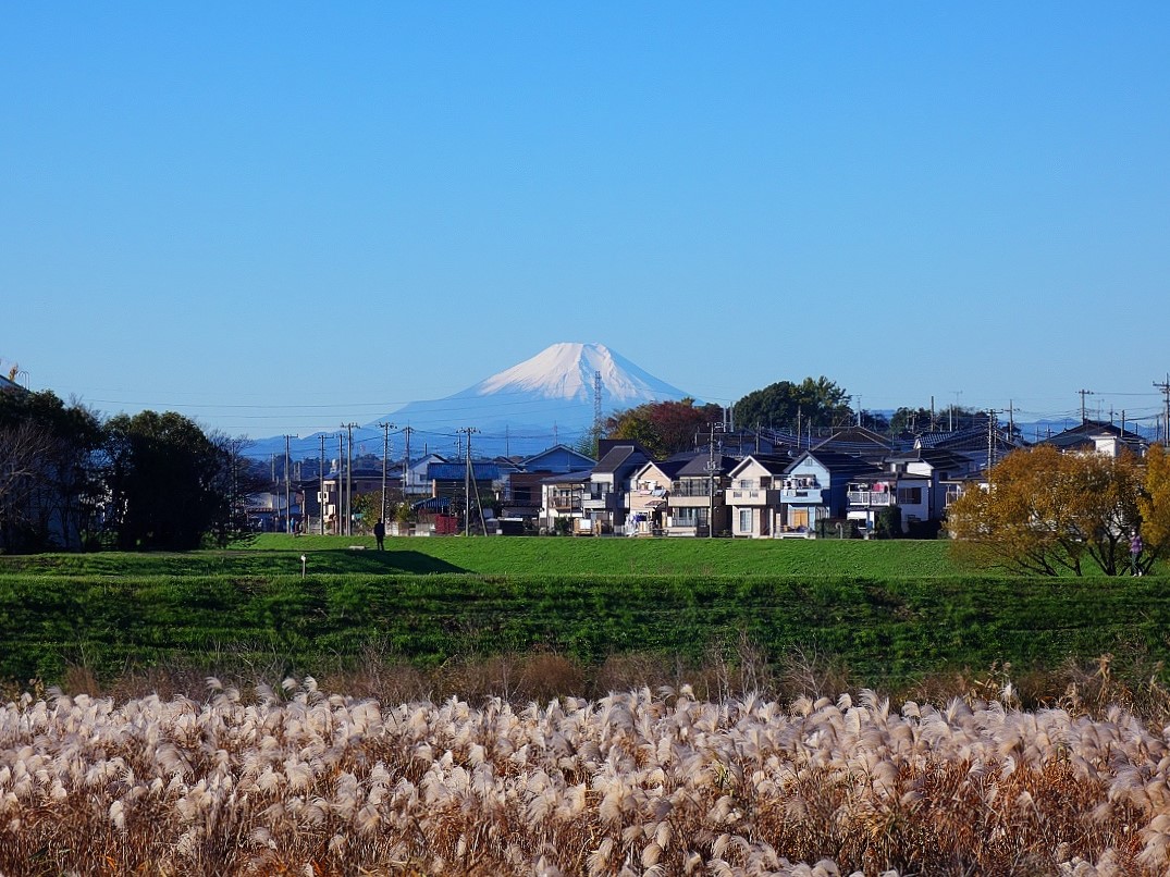今日なぁ、お散歩してたら富士山キレイに見えたんやで！