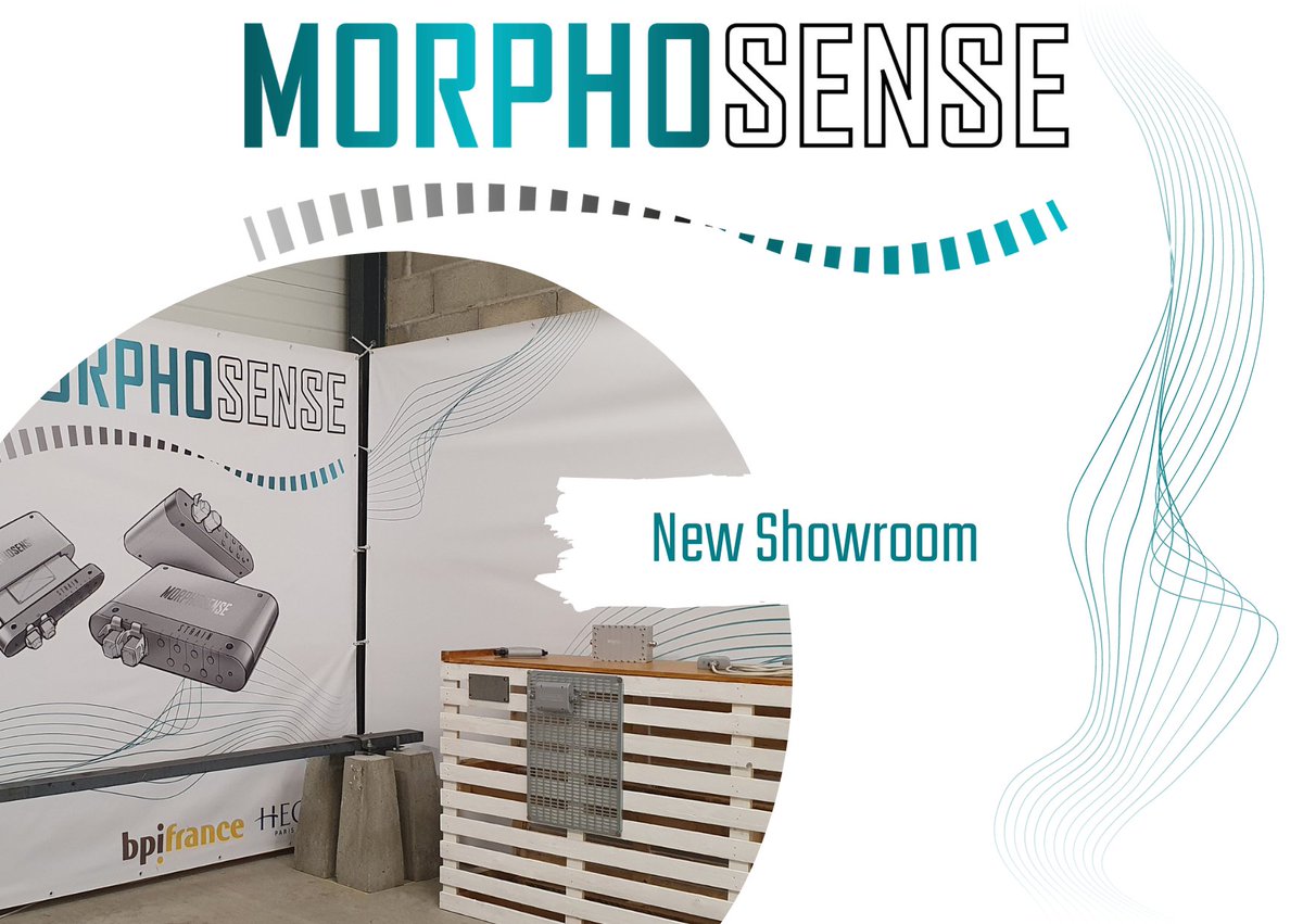 Morphosense tweet media