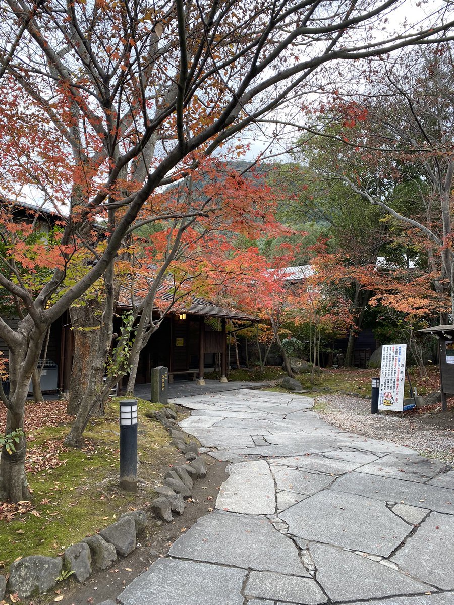 一日遅れの勤労感謝の日🎌をしました😊日帰り温泉♨️で、まだ紅葉🍁が残って癒されました☺️