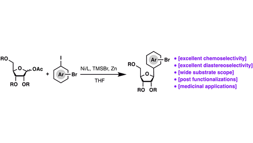 Angewandte Chemie (@angew_chem) on Twitter photo Chemoselective and Diastereoselective Synthesis of C-Aryl Nucleoside Analogues by Nickel-Catalyzed #CrossCoupling of Furanosyl Acetates with Aryl Iodides (Li) <a href="/LabChao/">Chao Li Lab</a> onlinelibrary.wiley.com/doi/10.1002/an… Chemoselective and Diastereoselective Synthesis of C-Aryl Nucleoside Analogues by Nickel-Catalyzed #CrossCoupling of Furanosyl Acetates with Aryl Iodides (Li) <a href="/LabChao/">Chao Li Lab</a> onlinelibrary.wiley.com/doi/10.1002/an…