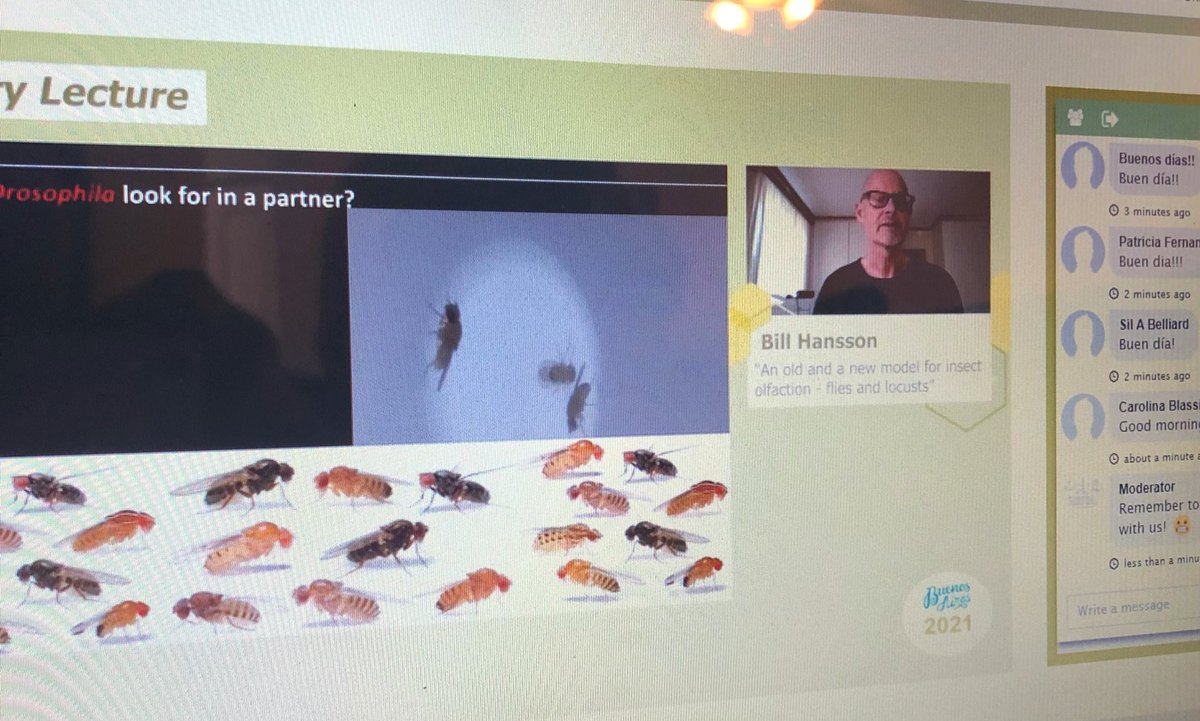 ALAEQ 2021
<a href="/Alaeq2021/">VI ALAEQ</a>