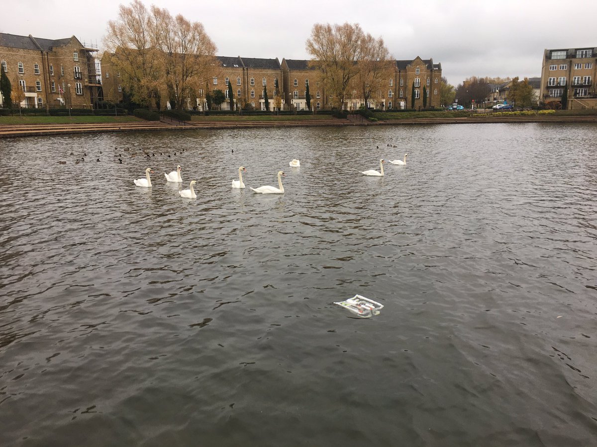 First test dives of the new #ROV today. Swans seem impressed.