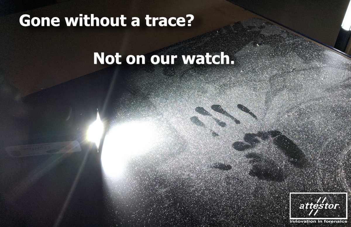 Attestor Forensics tweet media