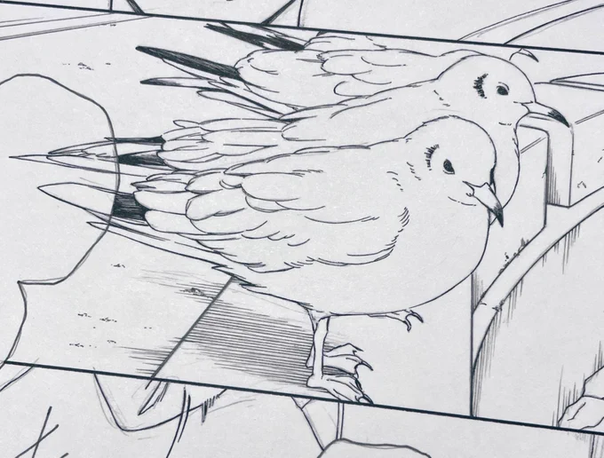 🐠脱稿🥳(まだ出してないけど〜)
これはお気に入りの鳥🦆 