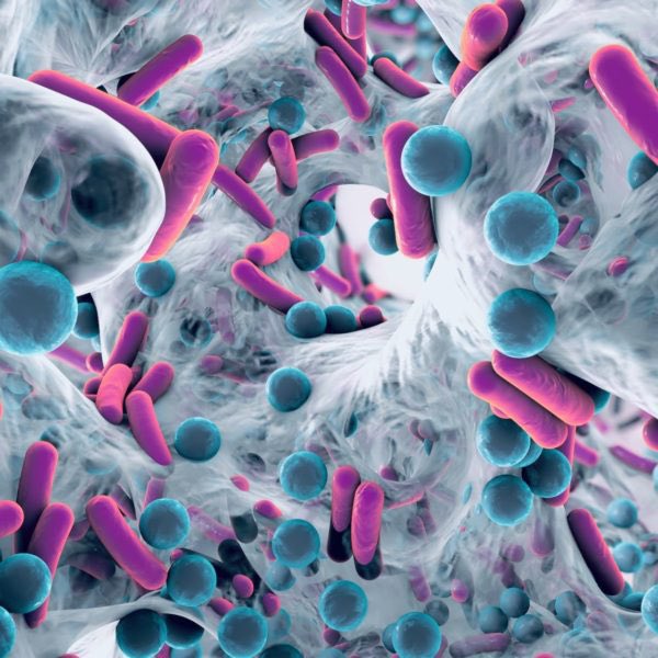 “While our understanding of the wound #microbiome has increased over the last couple of years, little is known about its resistance profile” 💬 @sne_kad @HullYorkMed @UniOfHull

🧫Read Snehal’s full blog bit.ly/3xLfxHW 

#WAAW21 #biofilms #WorldAntimicrobialAwarenessWeek