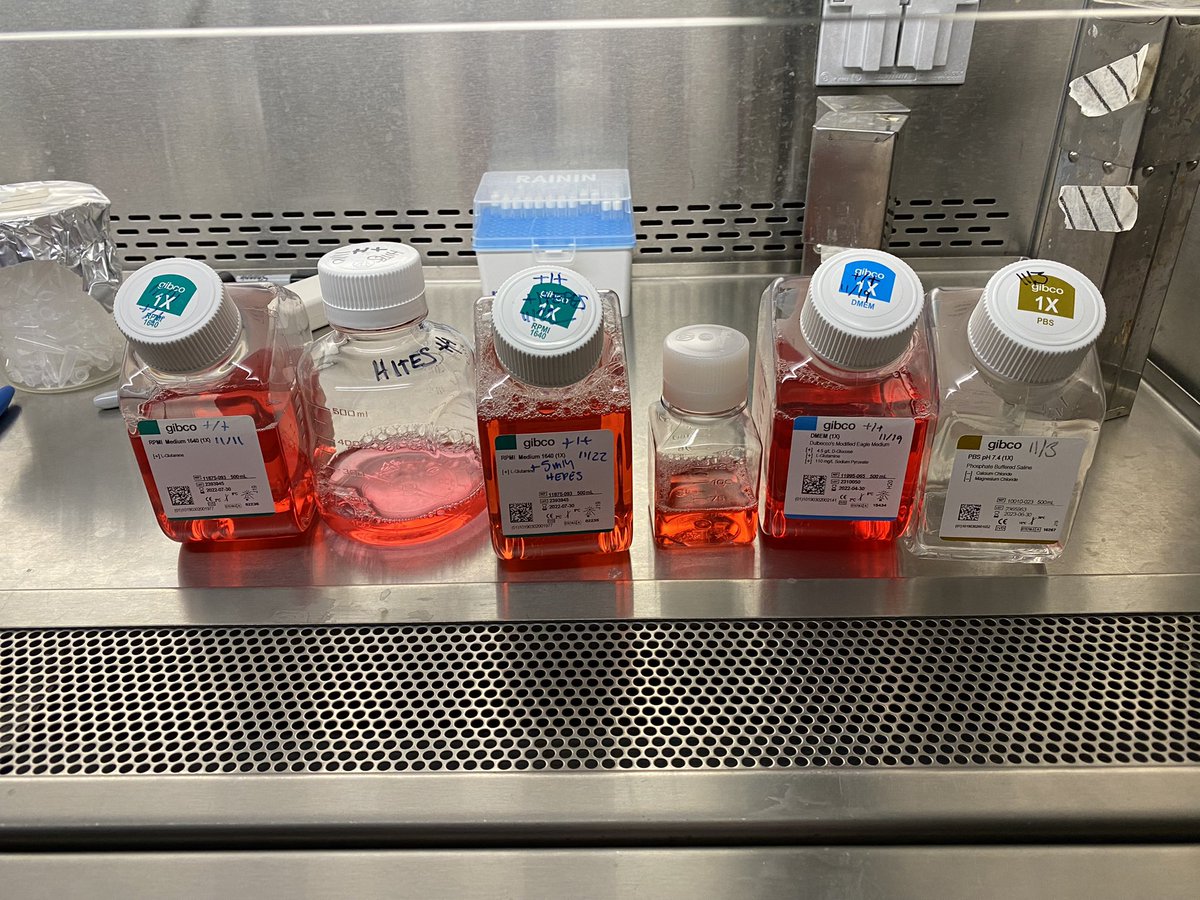 Getting Thanksgiving dinner for the cells ready