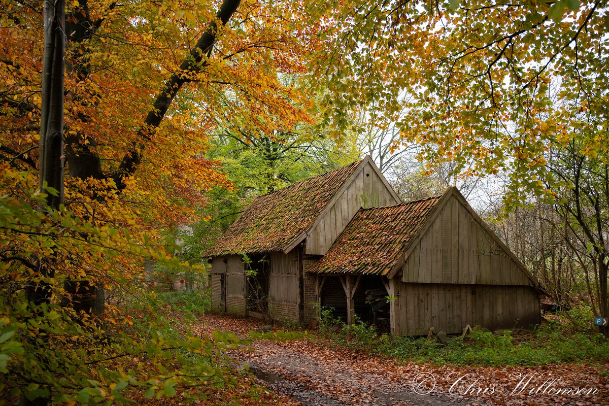 pensioenopreis's tweet photo. Hoe mooi de herfst, dit keer in Twente in natuurgebied springendal
#hoevespringendal #pensioenopreis #photography #twente #natuur #autumn #farm #holland @MeteoVoorne @inenom #herfst https://t.co/cb7HXE0ypK