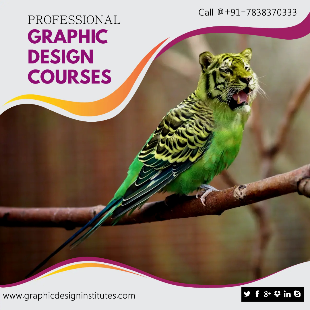 Advance your #GraphicDesignCareer with new skills in graphic design by choosing from the best #GraphicDesignCourses at #GraphicDesignInstitute.

Call or WhatsApp +91 7838370333
View All Courses 👉 graphicdesigninstitutes.com/all-graphic-co…
.
.
#graphicdesignclasses #graphicdesigntraining