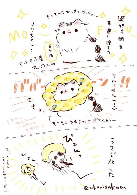 #豆大福猫りりちゃん日記 ④
 #note https://t.co/F8yDvnGwJp
#猫 