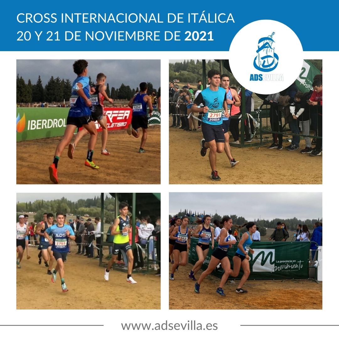 _ADSevilla's tweet photo. CROSS INTERNACIONAL DE ITÁLICA.
Nuestr@s talentos @adsevillamarpedental codeándose con l@s más select@s atletas españoles.

@_ADSevilla @marpedental @imdsevilla @ProxximaSevilla @fedandaluzadtri
@educaand @triatlonsp @acelitesevilla https://t.co/KV07UOWnYe