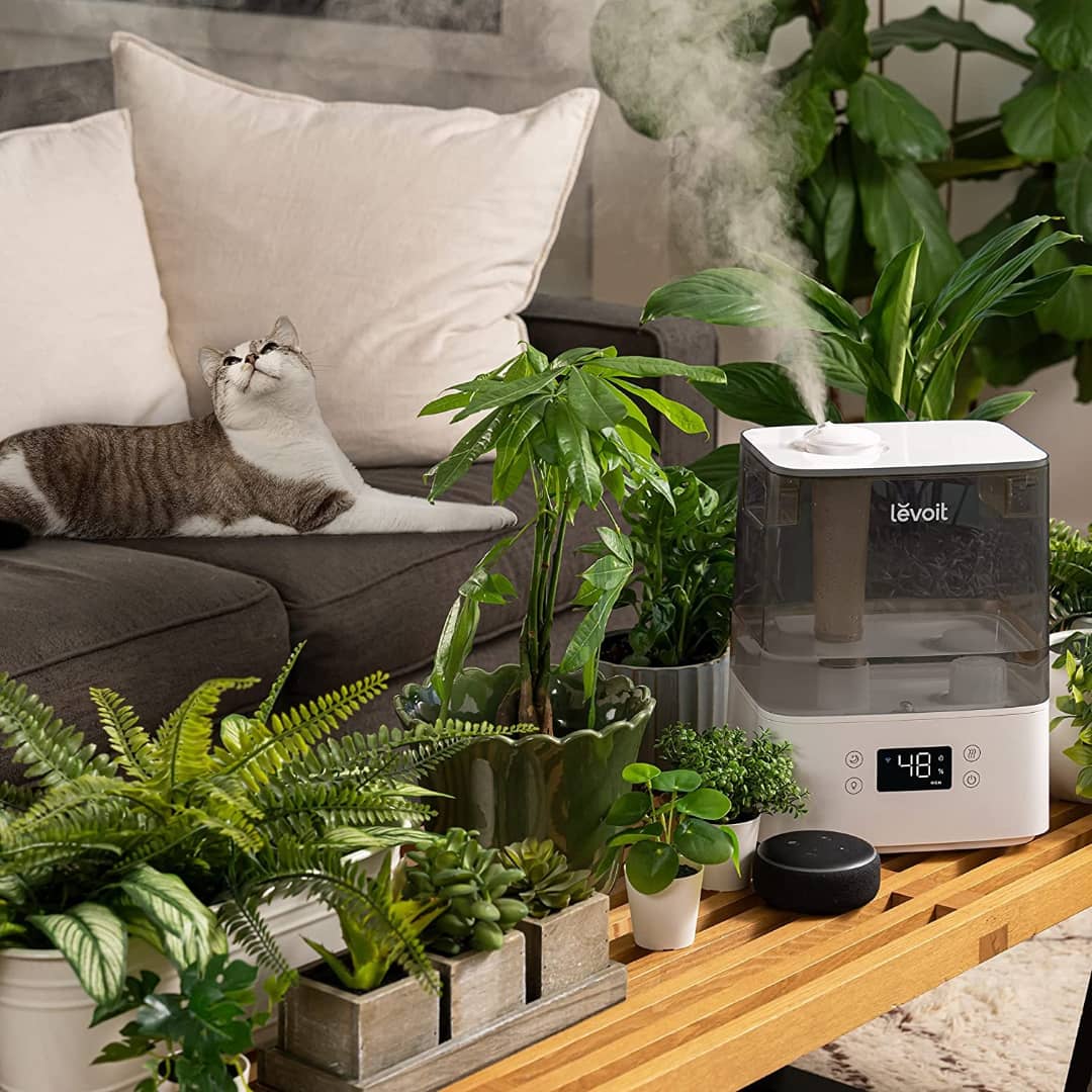 halaledge's tweet image. LEVOIT Humidifiers for Bedroom Large Room Home, 6L Top Fill Cool Mist Air Ultrasonic for Plants Indoor with Essential Oils Diffuser for Baby Kids, Smart Control with Humidistat, Quiet Easy Clean, Gray
Product link 👇
amzn.to/3111EuJ
#levoit #levoithumidifier #humidifier