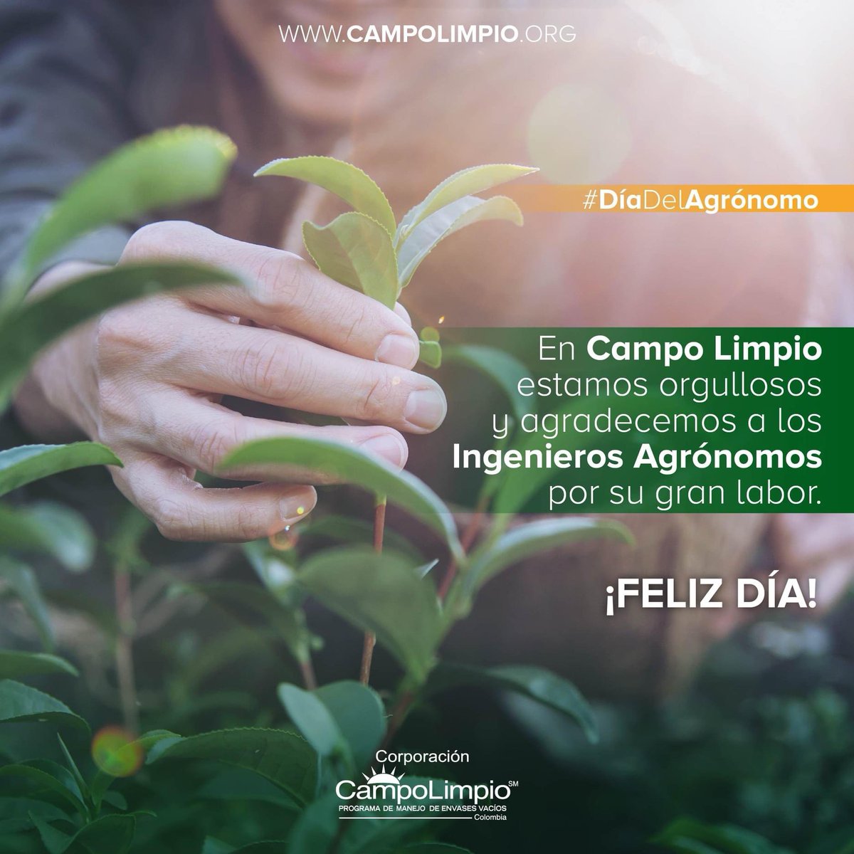 CampoLimpioCo's tweet photo. 📣Nos sentimos orgullosos y agradecemos a los Ingenieros Agrónomos en su día por hacer posible el ¡Tener un #CampoLimpio !🍃 👉¿Ya participaste en nuestro CONCURSO? 👈 Ve YA mismo a nuestro FACEBOOK @CampoLimpioOficial 

https://t.co/FDjT7MZdp4

#CampoLimpioCol #Agronomos https://t.co/jEoruEuNB6