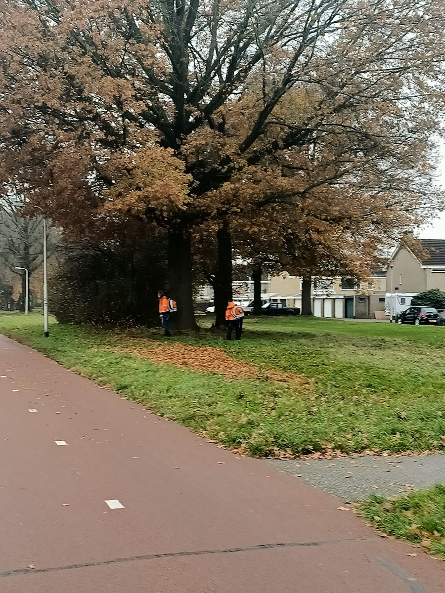 Hé <a href="/gemeentetilburg/">gemeentetilburg</a>, waarom worden er nog steeds vervuilende bladblazers ingezet? Dit blad laten liggen is beter voor micro organismen, zorgt voor betere wateropname en behoeft geen onnodige diesels. Geeft bovendien een mooi herfstbeeld. #milievervuiling #bladblazers #herrie
