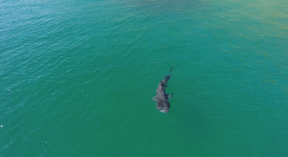 In the 2nd of our programme specials from County Mayo, this evening we visit Achill Island to experience the beauty of this magnificent place &amp; all it has to offer on #RTENationwide Wednesday 24th November <a href="/RTEOne/">RTÉ One</a> 7pm &amp; RTE1+1 8pm <a href="/rte/">RTÉ</a> <a href="/achilltourism/">Achill Tourism, Mayo, Ireland</a> <a href="/TourismIreland/">Tourism Ireland</a> <a href="/MayoHour/">MayoHour</a> RT