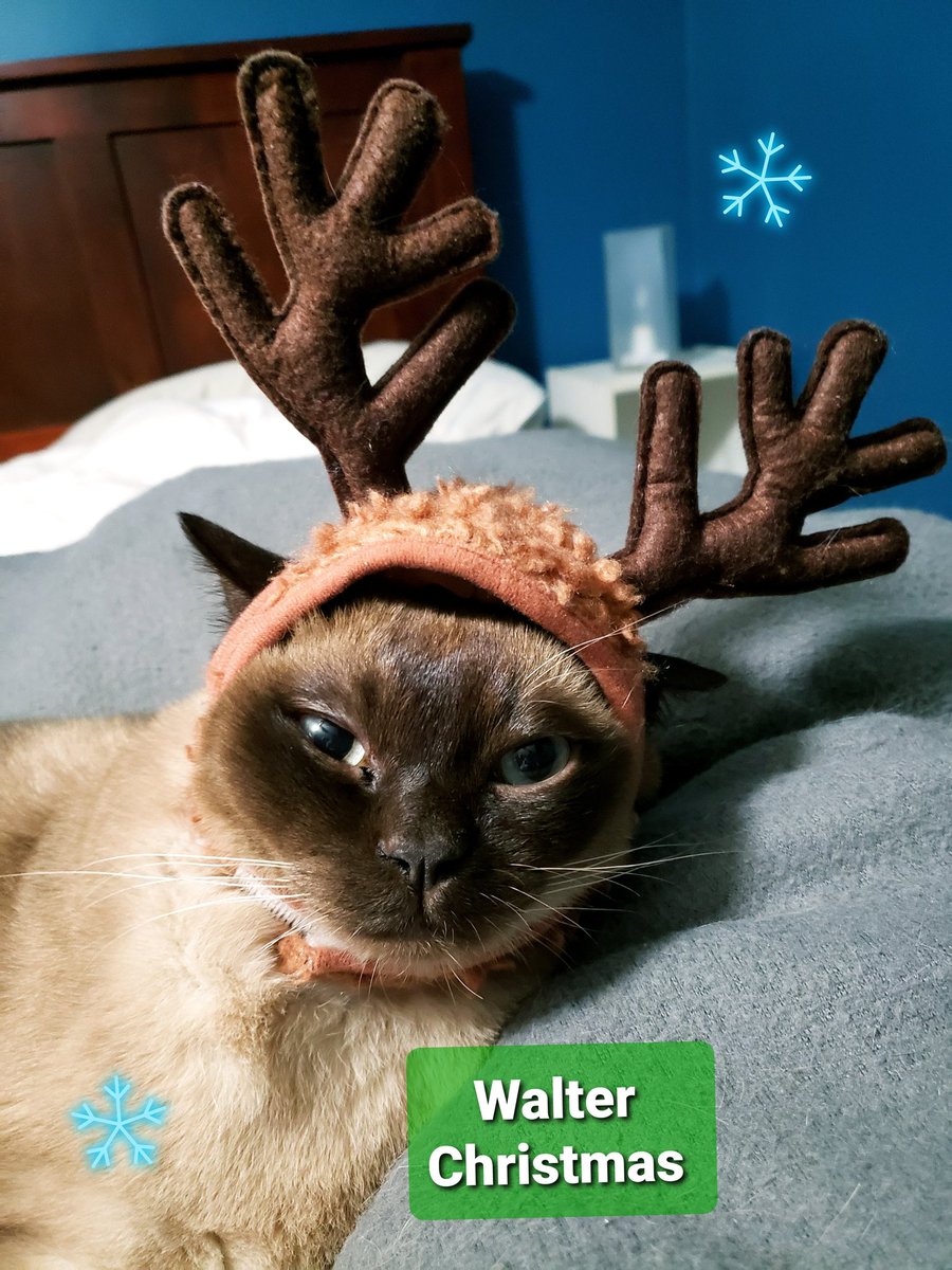 Sandy Oh-Canada tweet media