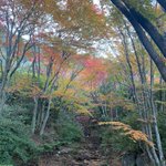 ベイリゾートホテル小豆島【公式】 @ 圧巻のオーシャンビューで瀬戸内マリンを独り占めのツイート画像
