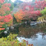 ベイリゾートホテル小豆島【公式】 @ 圧巻のオーシャンビューで瀬戸内マリンを独り占めのツイート画像