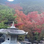 ベイリゾートホテル小豆島【公式】 @ 圧巻のオーシャンビューで瀬戸内マリンを独り占めのツイート画像