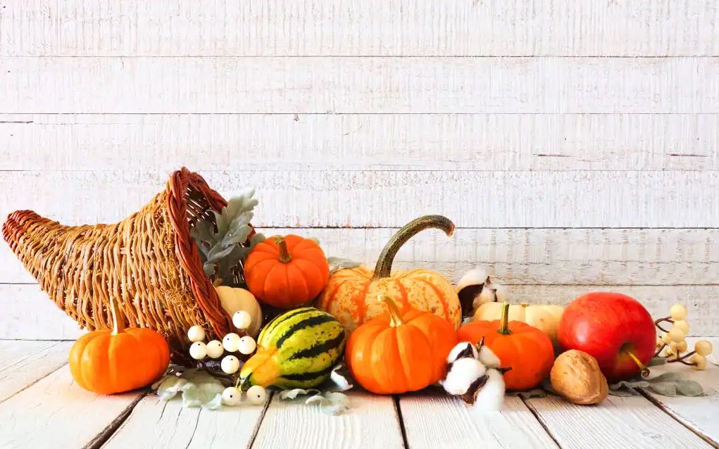 Our retail stores &amp; donation drop-offs will be closed tomorrow for #Thanksgiving Day, and re-opening for regular hours on Friday!  

#JobConnection centers will be closed through the holiday weekend, open on Monday. 
 
Find our #Goodwill locations at sogoodwill.org/about/location… 💙