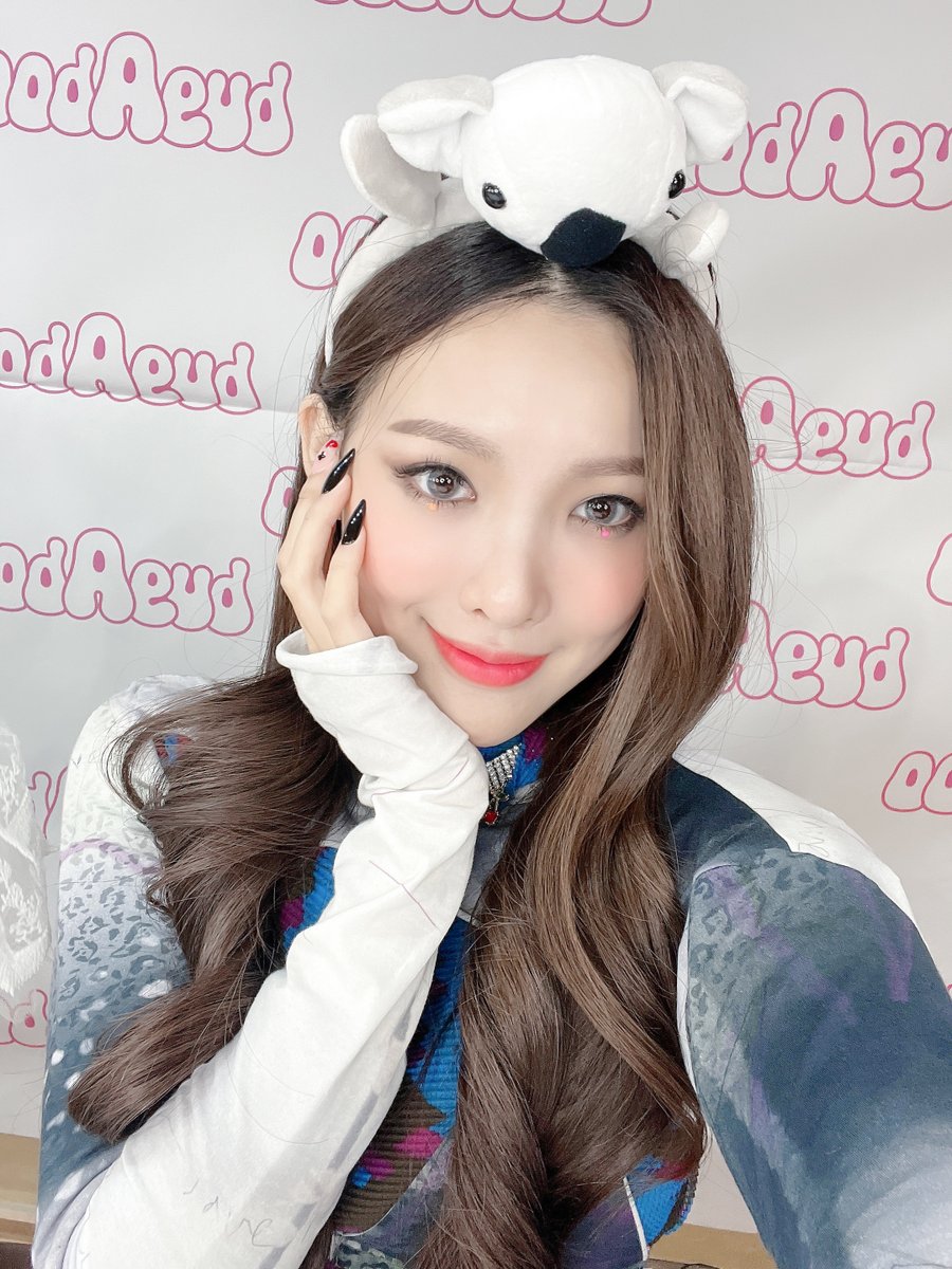 bugAboopicx's tweet photo. they are so cute I'm gonna cry😭💕

#bugAboo #버가부 https://t.co/lNe2qjpShp