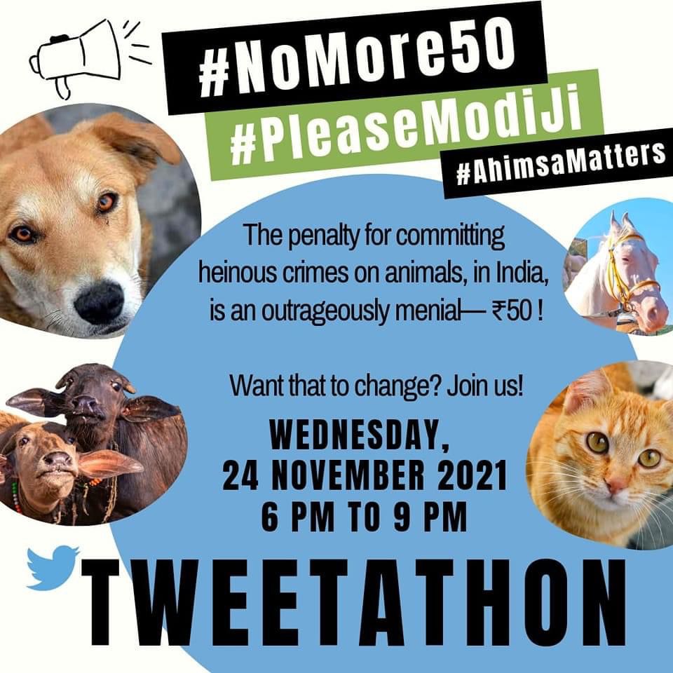 SauravP18746585's tweet photo. #PleaseModiJi 
The penalty for committing heinous crimes on animals, in India, is an outrageously menial -- 50rs ! 
I want that to change. "Raise your voice to stop animal abuse, we need strict penalty " " #voiceforthevoiceless
⚖       ⚖       ⚖    ⚖ https://t.co/nHbaSDmm3U