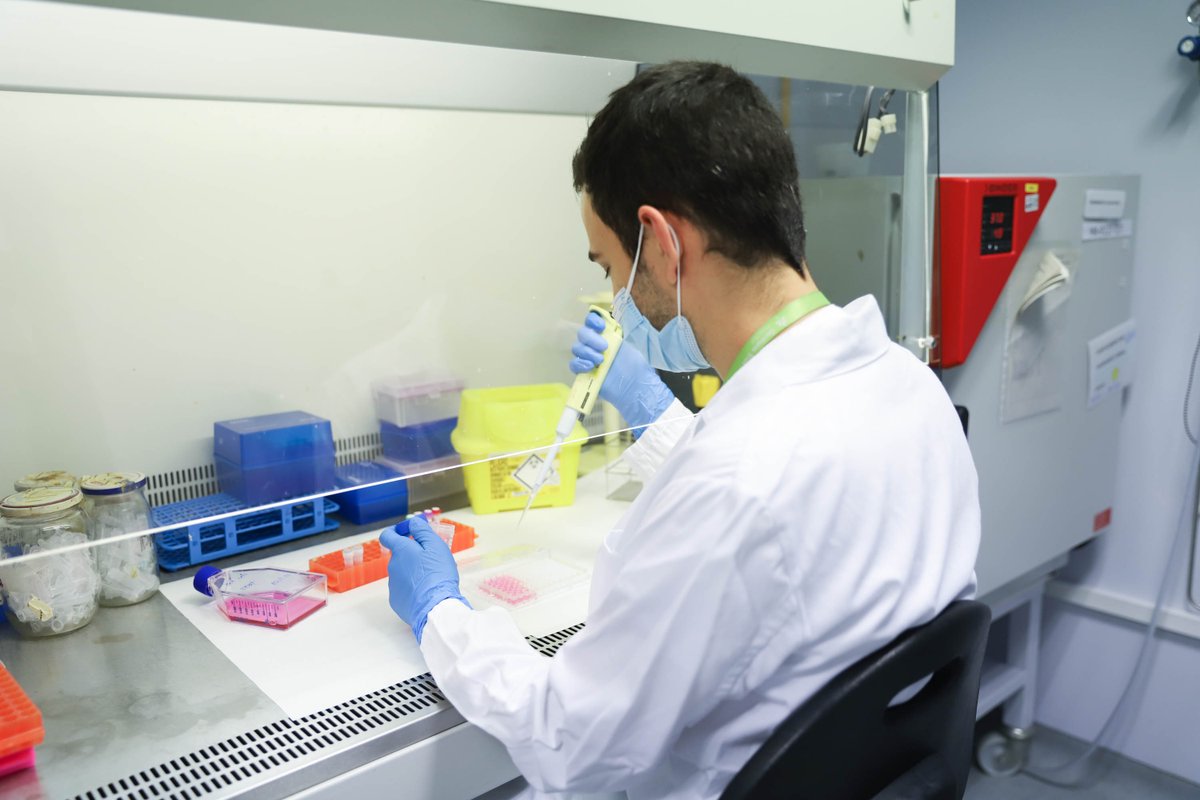 hgermanstrias's tweet photo. 🔝 El Servei d’Immunologia del #LabClinicMN de #hgermanstrias, és centre de referència @icscat per a la determinació d’anticossos neutralitzants enfront a SARS-CoV-2
🛡️ La presència d'aquests anticossos permet conèixer el grau de protecció enfront al virus https://t.co/AIQLOBRZBq