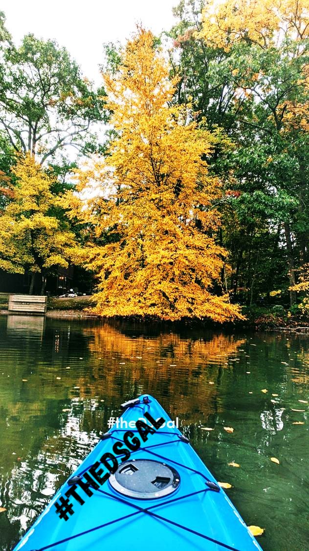 theDSGal's tweet photo. Create with color ... Reds, oranges, & yellows are abounding in #autumn. ๐๐ ๐๐
Info: https://t.co/9P5ksHqFqr
#fall #falldecor #Fallcolors #homedecor #fallhomedecor #home #Lisashomesweethome #smile #bekind #beagoodneighbor #LisaAnnadmin #LisaAnnvirtualassistant #theDSGal https://t.co/tcjaXhbBG3